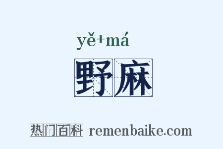 野麻是什么意思的图片